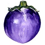 aubergine1