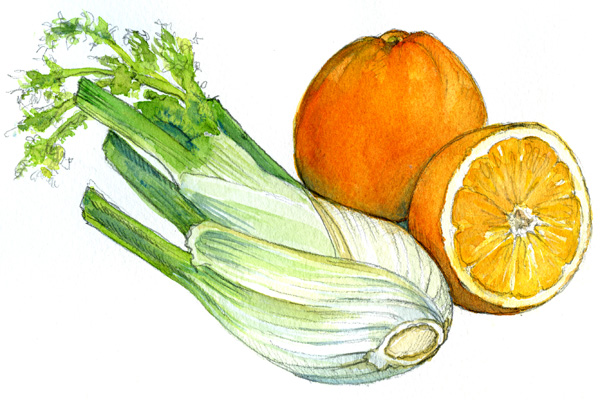 fennel and oranges
